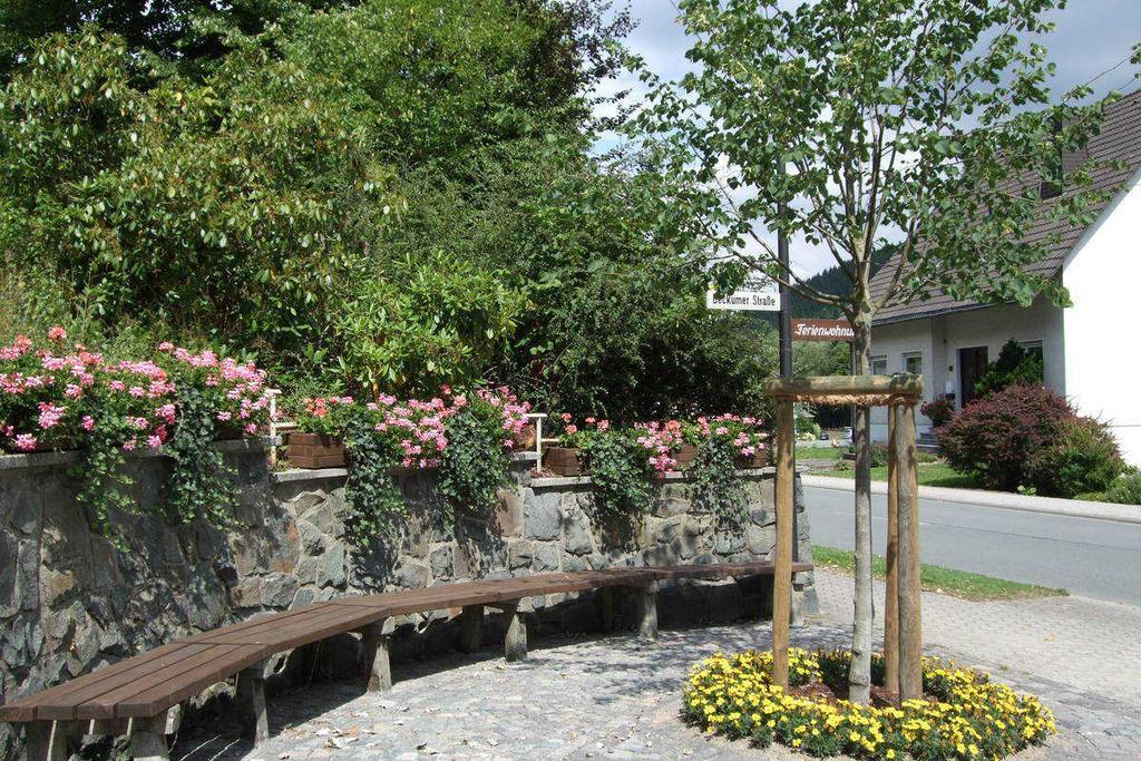 Haus Mittelberg Διαμέρισμα Olsberg Εξωτερικό φωτογραφία
