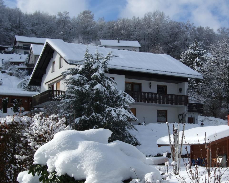 Haus Mittelberg Διαμέρισμα Olsberg Δωμάτιο φωτογραφία