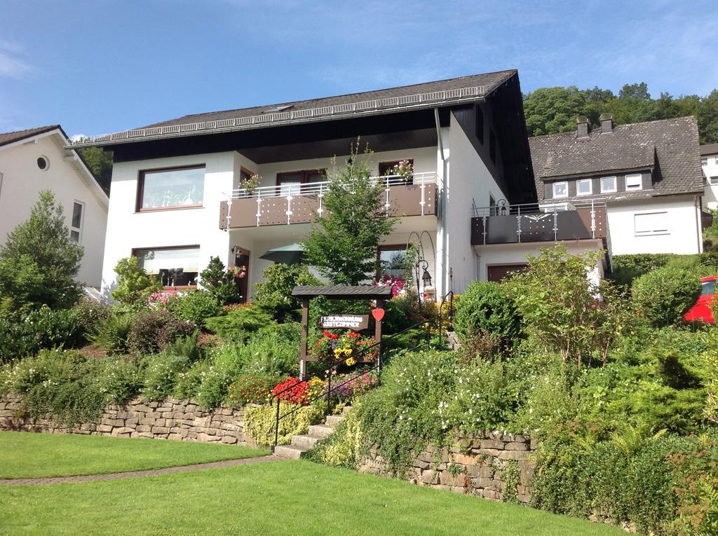 Haus Mittelberg Διαμέρισμα Olsberg Εξωτερικό φωτογραφία