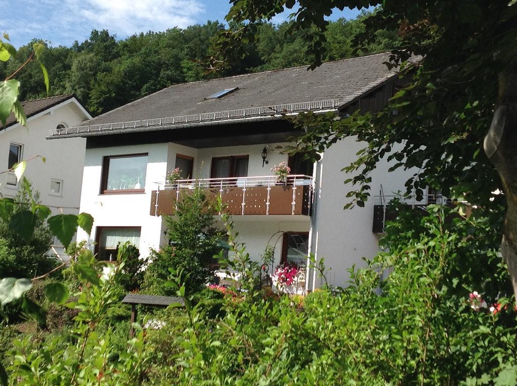 Haus Mittelberg Διαμέρισμα Olsberg Εξωτερικό φωτογραφία